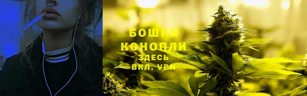 гашик Кулебаки