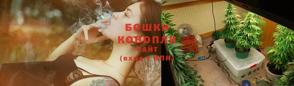 молекула духа Лагань