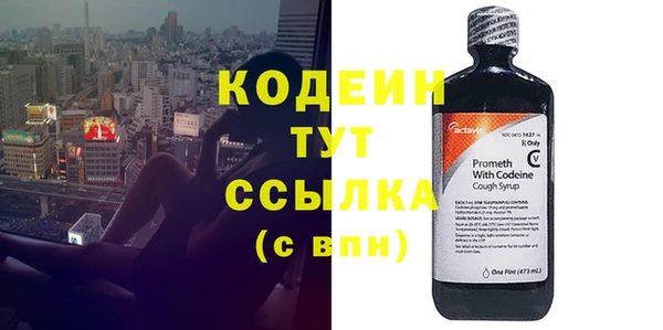 гашик Кулебаки