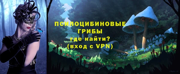 соль курить ск Ладушкин