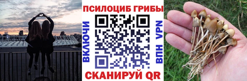 Галлюциногенные грибы GOLDEN TEACHER  купить наркотики цена  Белорецк 
